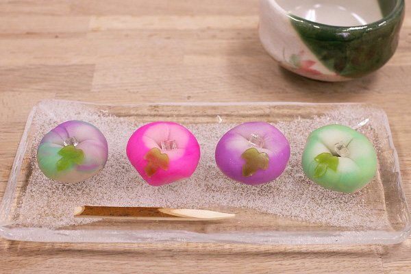 朝顔 アサガオ 練り切り 上生菓子 手作り体験 和菓子キット